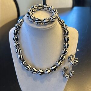 Angela Moore zany zebra stripe Black and White Beaded Jewelry Set